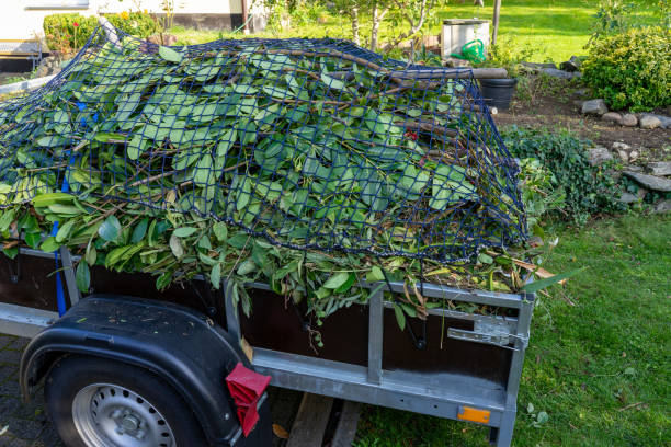 Best Carpet Removal and Disposal  in Mattawan, MI